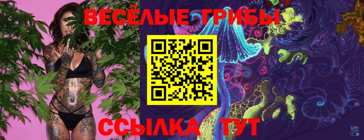 Псилоцибиновые грибы ЛСД Бутурлиновка